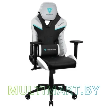 Кресло компьютерное ThunderX3 TC5 Arctic White (черный/белый)